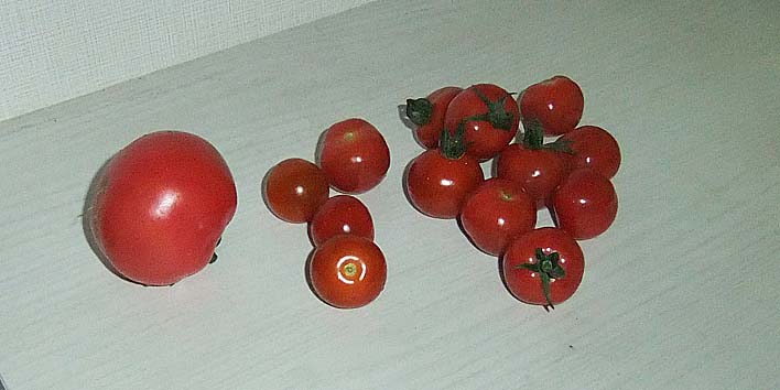 240726tomato.jpg(50885 byte)