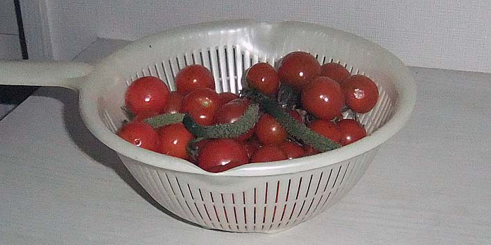 240920tomato.jpg(59574 byte)