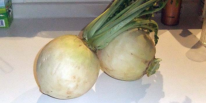 241102daikon.jpg(59939 byte)