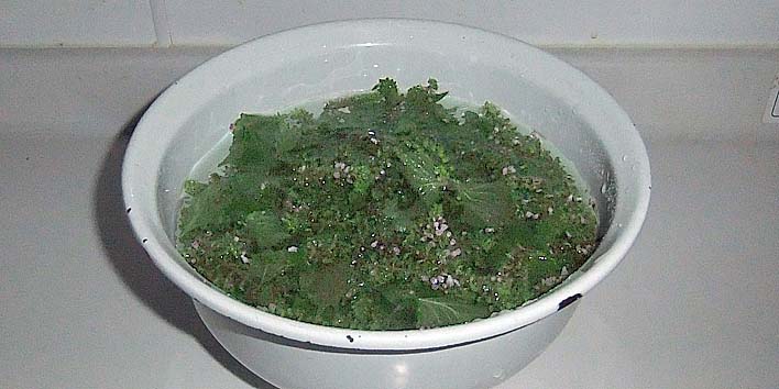 250903hojiso.jpg(62722 byte)
