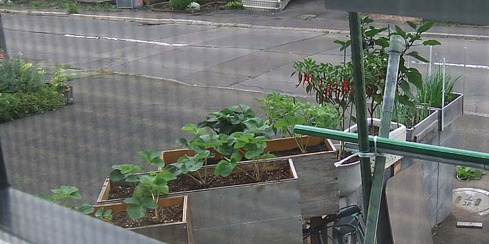 250903puranta.jpg(72335 byte)