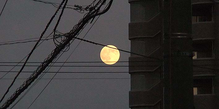 251106tuki2.jpg(47918 byte)