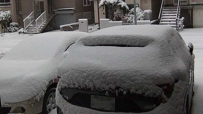 251108yuki.jpg(71780 byte)