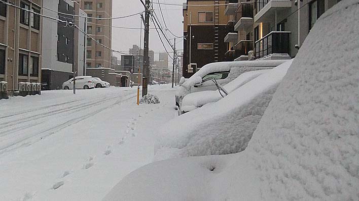 251108yuki3.jpg(64713 byte)