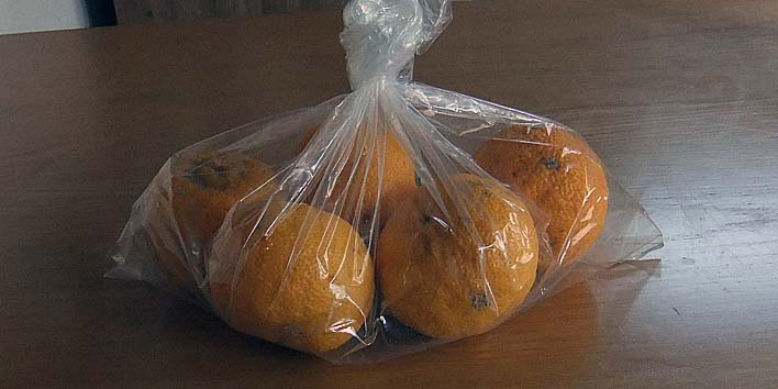 251124yuzu.jpg(49926 byte)