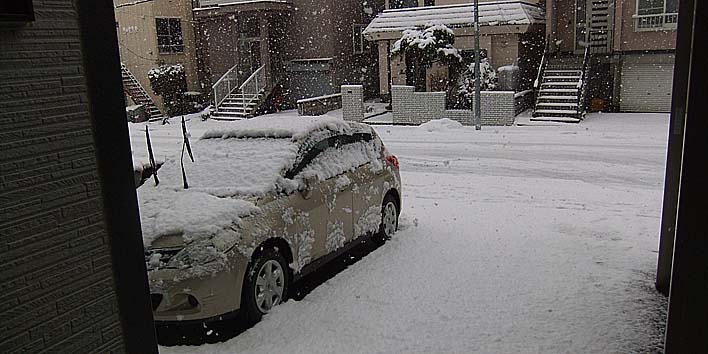 251209yuki.jpg(77893 byte)