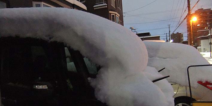 251215yuki.jpg(44071 byte)