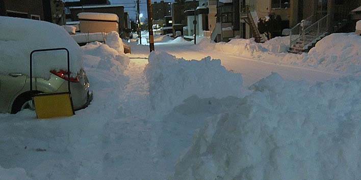 251215yuki2.jpg(49391 byte)