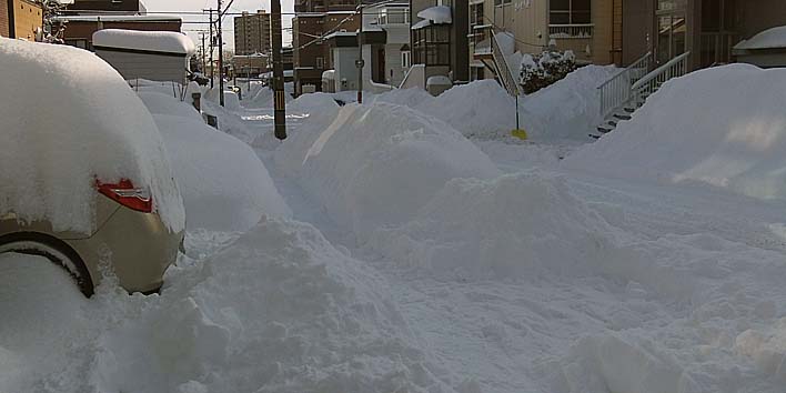 260122yuki.jpg(47935 byte)