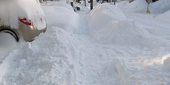 260122yuki2.jpg(48535 byte)