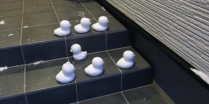 260127hiyoko.jpg(71301 byte)