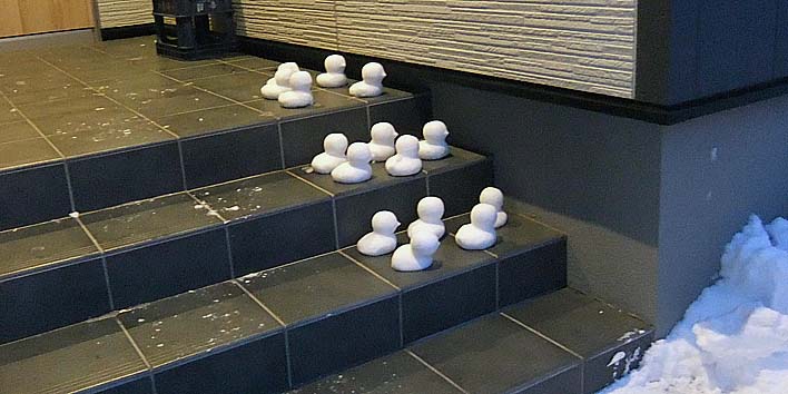 260202hiyoko.jpg(66569 byte)