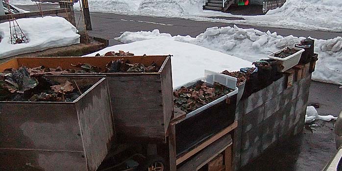 260306itigo.jpg(79377 byte)