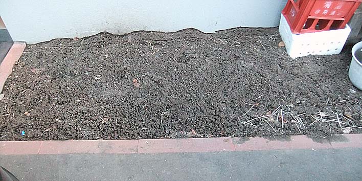 260312hatake.jpg(107051 byte)