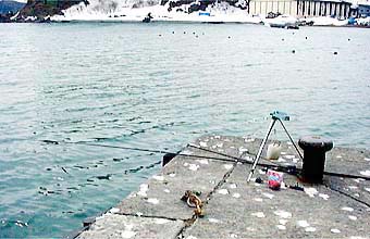 祝津港のチカ釣り