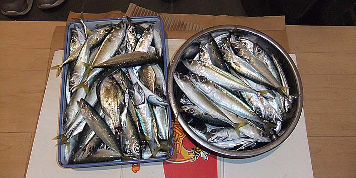250930.jpg(94262 byte)