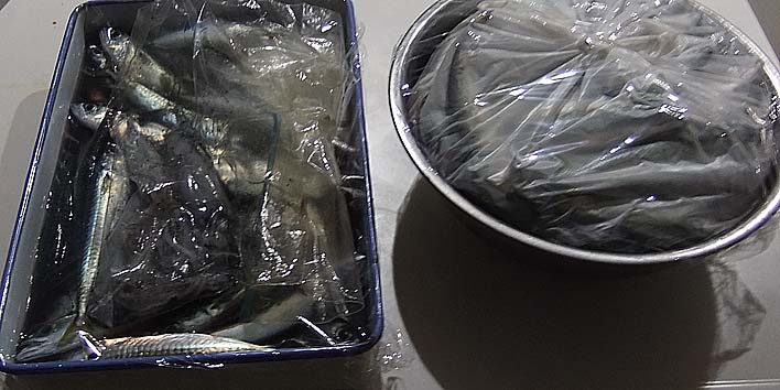 251104.jpg(77448 byte)