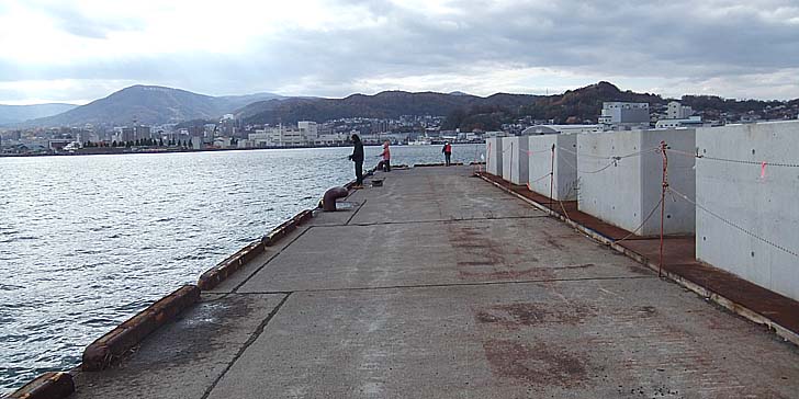 251104_1233migi.jpg(75530 byte)