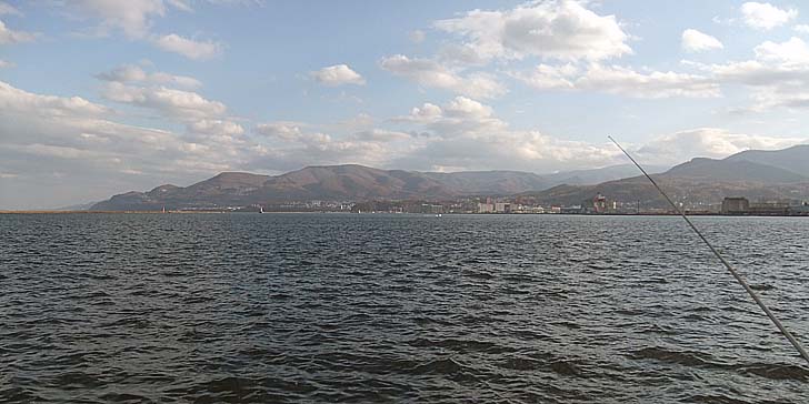 251104_1429syoumen.jpg(72238 byte)