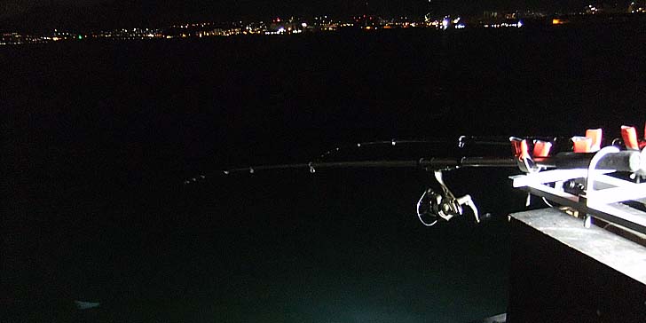 251104_1718syakuriki.jpg(43640 byte)